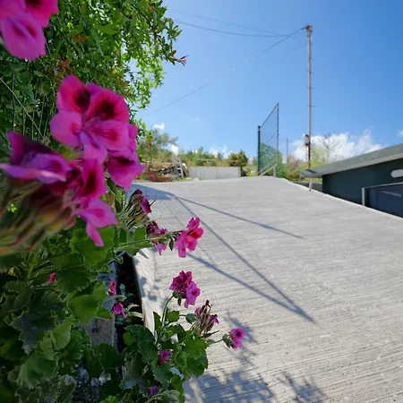 Апартаменты Calmo *